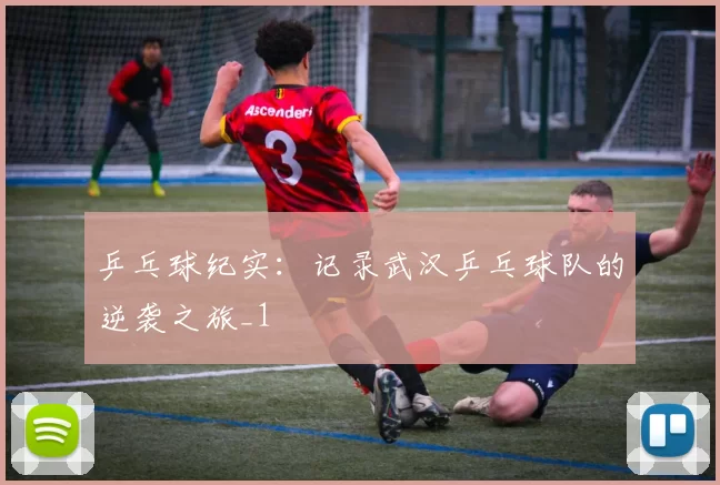 乒乓球纪实：记录武汉乒乓球队的逆袭之旅_1