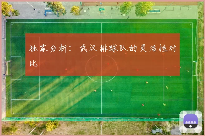 独家分析：武汉排球队的灵活性对比