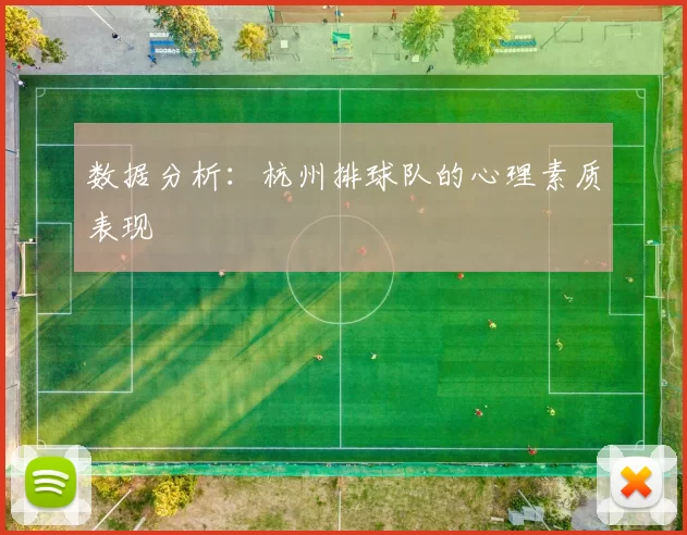 数据分析：杭州排球队的心理素质表现