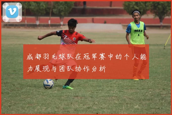 成都羽毛球队在冠军赛中的个人能力展现与团队协作分析