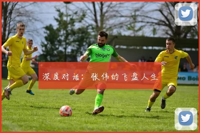 深度对话：张伟的飞盘人生