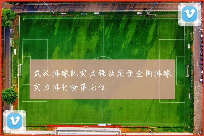 武汉排球队实力强劲荣登全国排球实力排行榜第七位