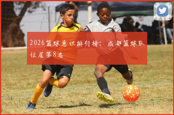 2026篮球意识排行榜：成都篮球队位居第8名