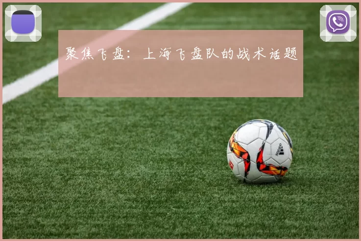 聚焦飞盘：上海飞盘队的战术话题