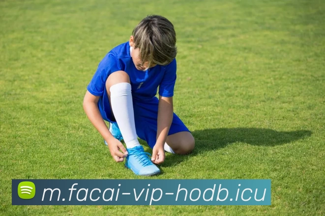 华体会体育平台生态图