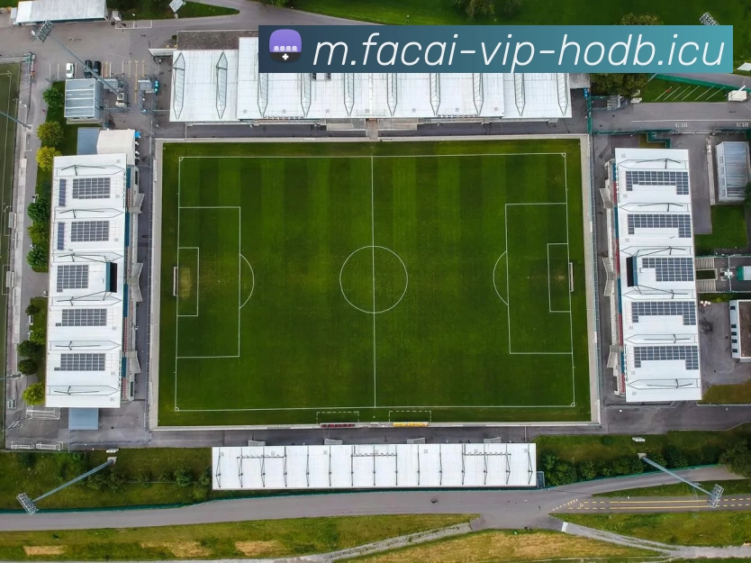 华体会体育APP 封面图